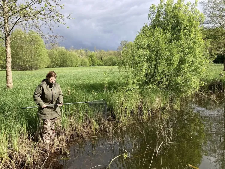 Atelier Famille : 11 mars : Fréquence Grenouille