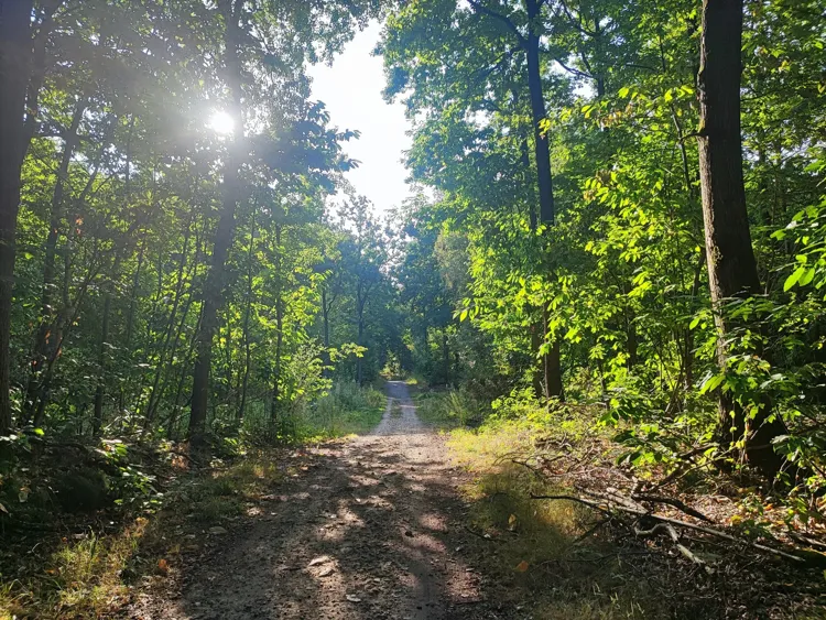Bungy Pump : samedi 21 03 : Jouy-le-moutier/Boisemont