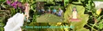 Nous vous souhaitons un bel été 
