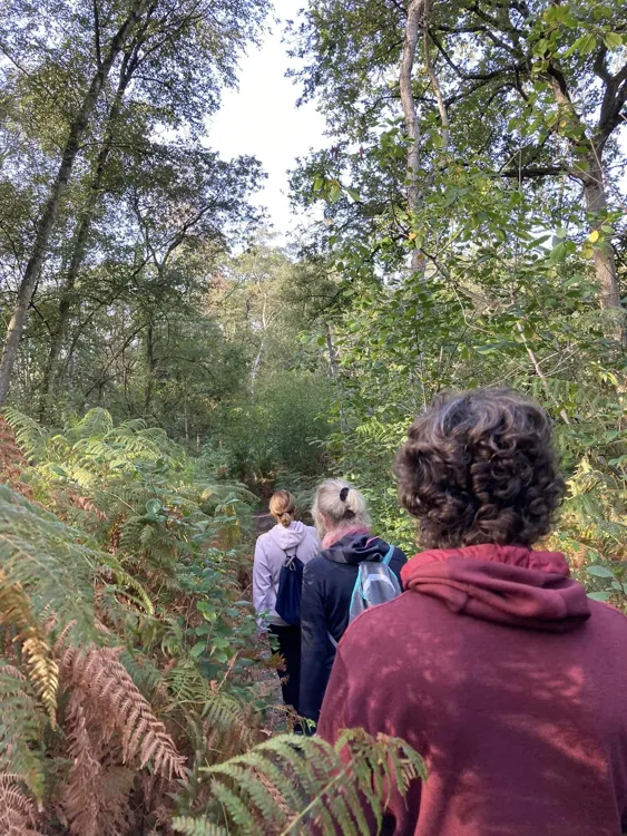 Sophrologie en pleine nature