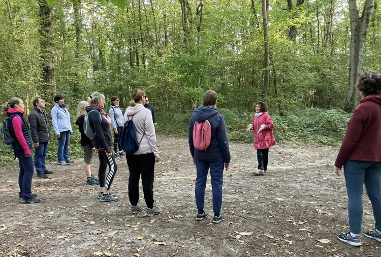 Sophrologie en pleine nature